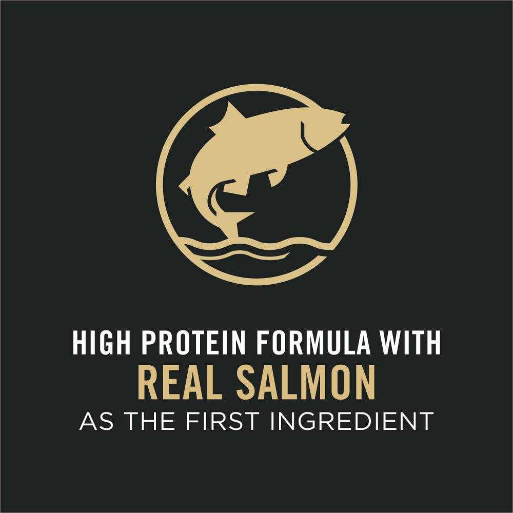 Purina Pro Plan Adult Salmon & Rice Formula Dry Cat Food - Healthber