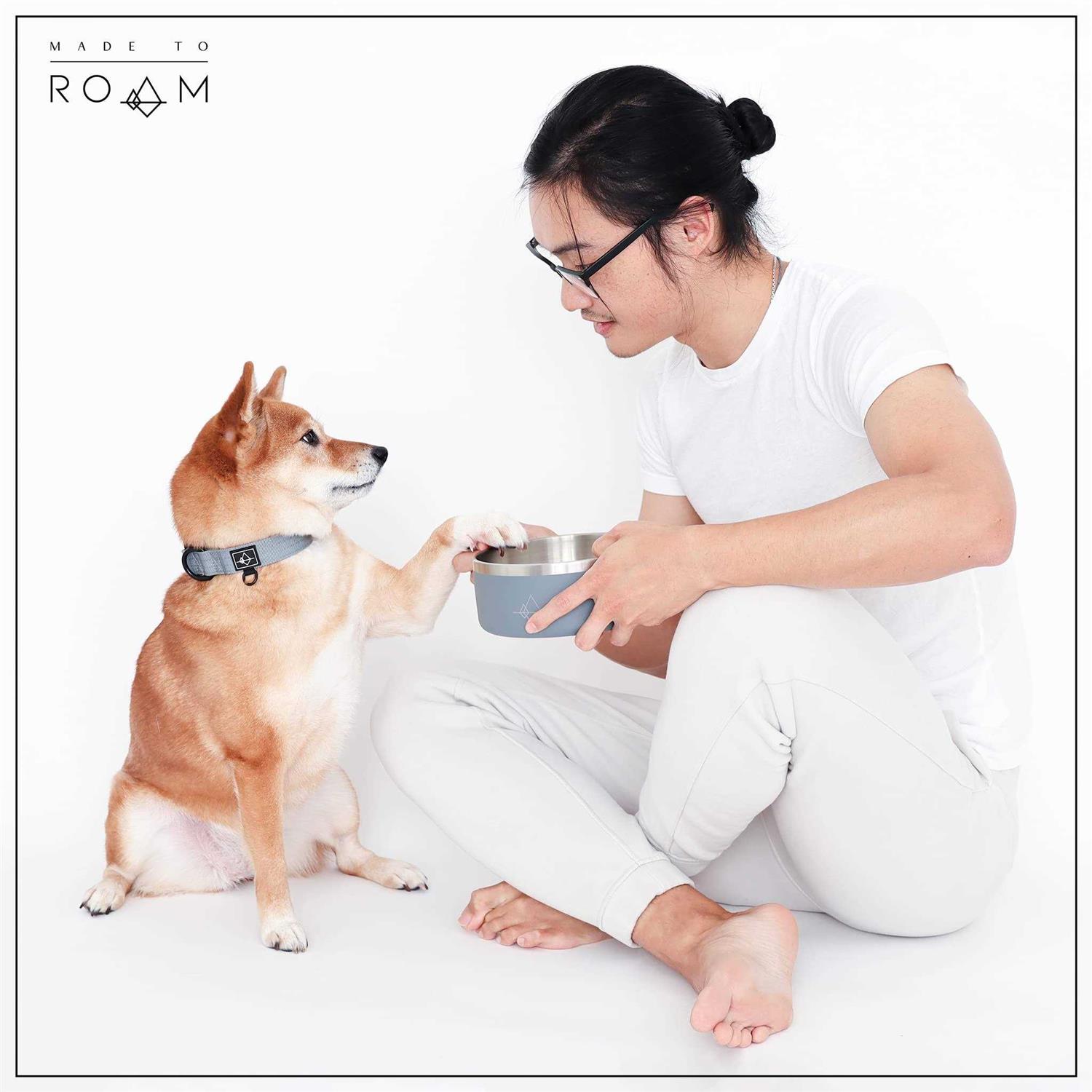 Roam Made to Roam Premium Dog Collar Adjustable Heavy Duty Nylon Collar with Quick-Release Metal Buckle - Healthber
