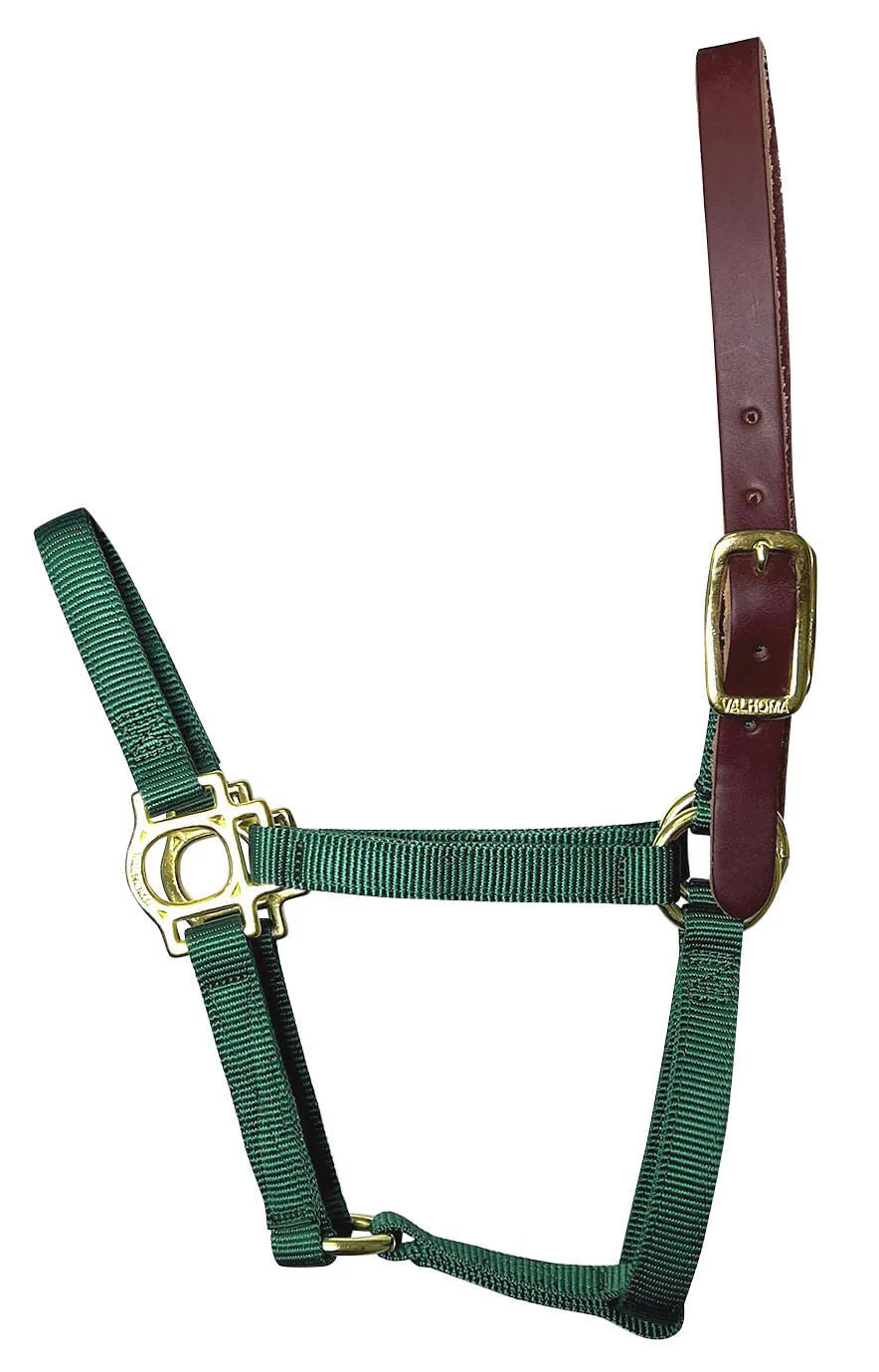 Valhoma Foal & Yearling Premium Breakaway Nylon Halter with Leather Crown - Healthber
