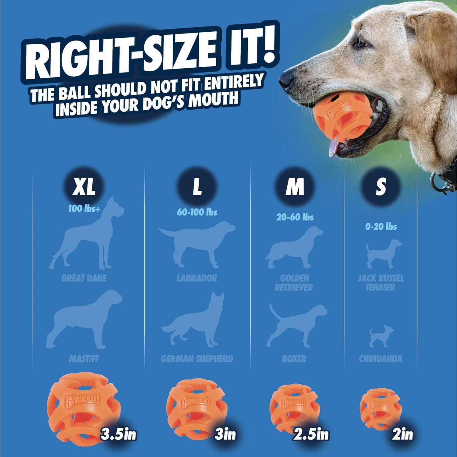 Chuckit! Breathe Right Fetch Ball - Healthber