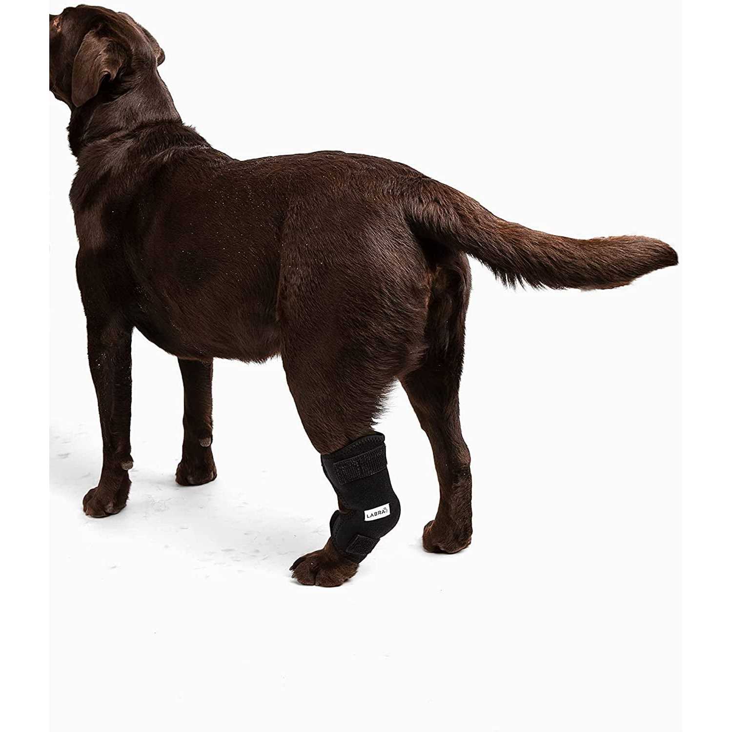 Labra Canine Heat Cold Therapy Dog Leg Wrap - Healthber