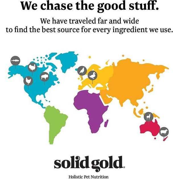 Solid Gold Triple Layer Pate Mousse & Shreds Pumpkin Cat Food - Healthber