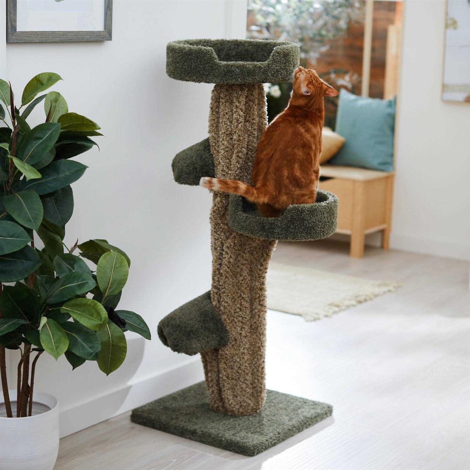 Frisco 49-in Tree-Shaped Real Carpet Wooden Cat Tree - Healthber