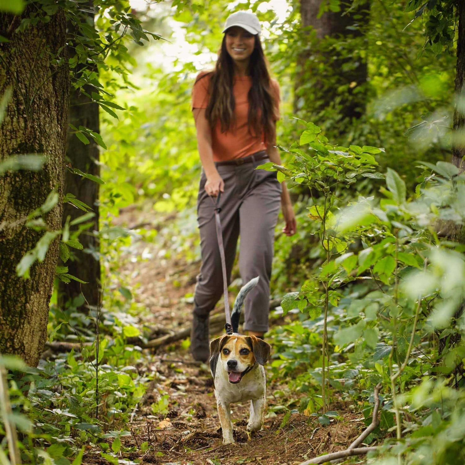 Nature’s Recipe Grain Free Chicken Sweet Potato & Pumpkin Small Breed Dry Dog Food - Healthber