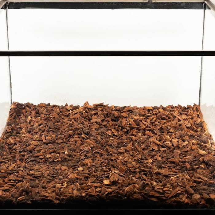 Zoo Med Premium Repti Bark Reptile Bedding - Healthber