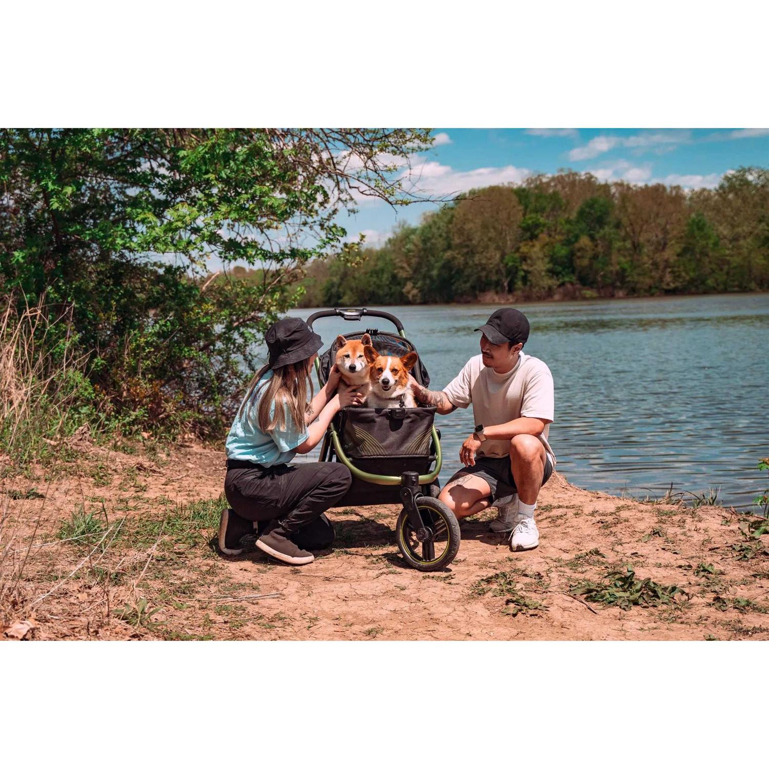 The Beast All Terrain Pet Jogging Stroller Ibiyaya - Healthber