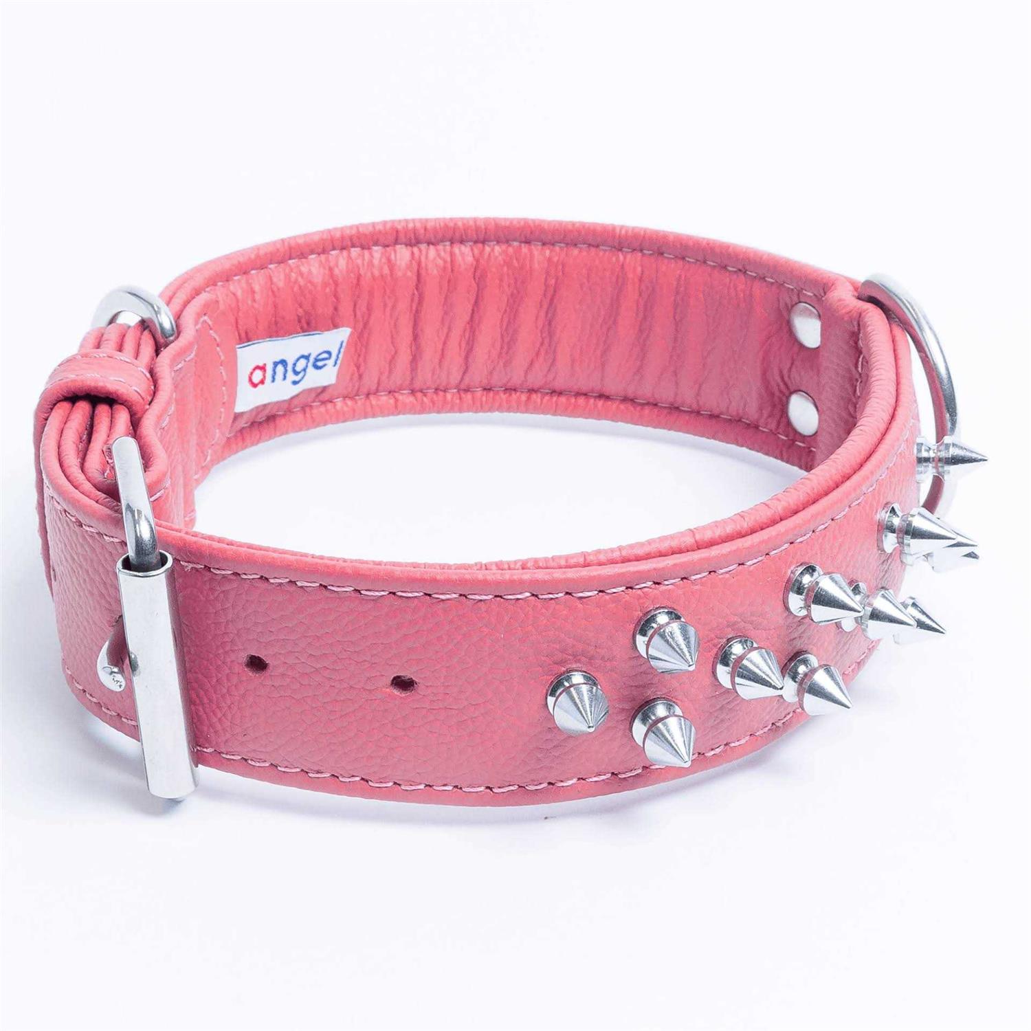 Amsterdam Dog Collar Spiked - Healthber