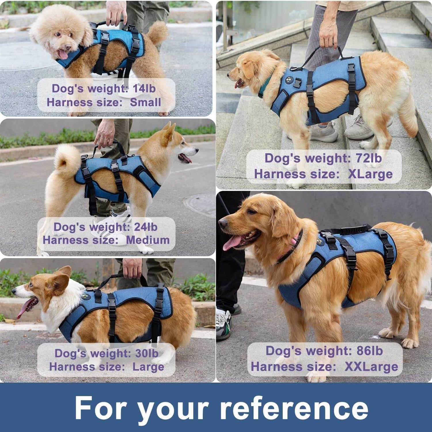 Coodeo Dog Lift Harness Support & Recovery Sling Pet Rehabilitation Lifts Vest Adjustable Breathable Straps for Old - Healthber