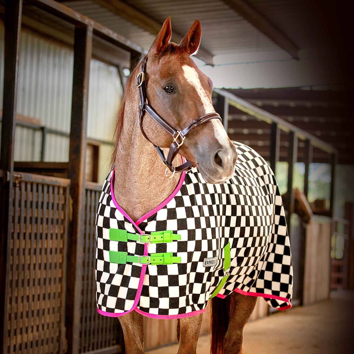 Expression Standard Neck Fleece Horse Cooler, Skater Cowgirl - Healthber