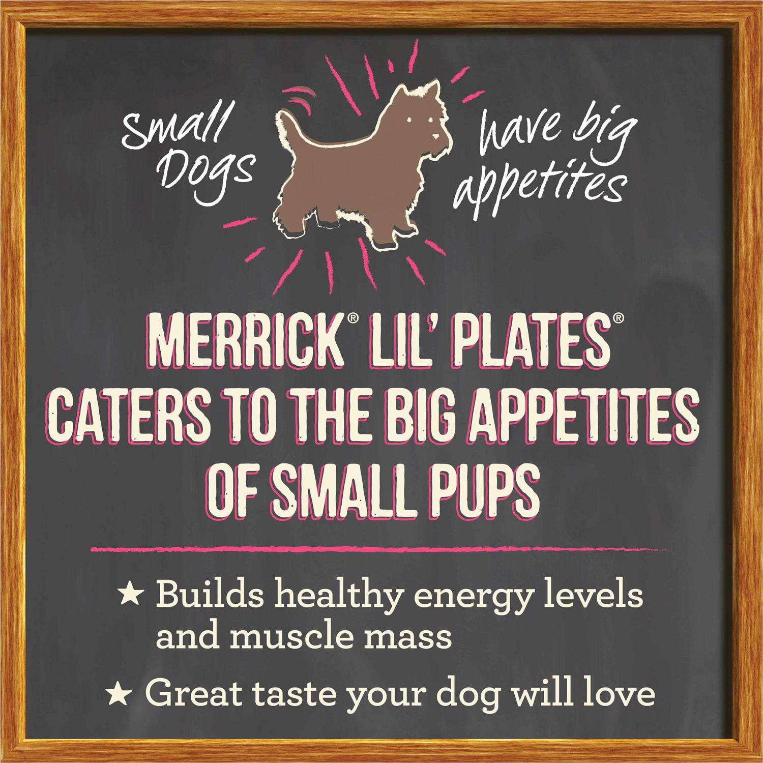 Merrick Pet Care Grain Free Dinner Lil’ Plates Petite Pates Adult Wet Dog Food - Healthber