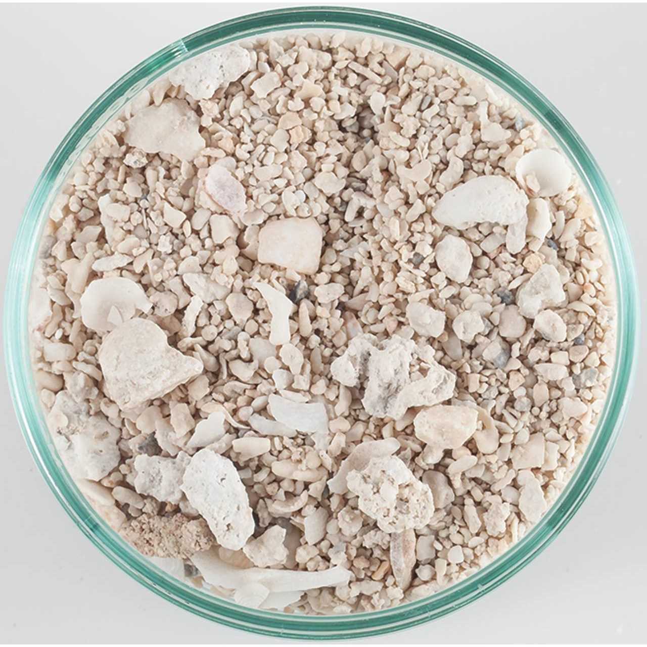 CaribSea Dry Aragonite Seafloor Special Grade Reef Sand - Healthber