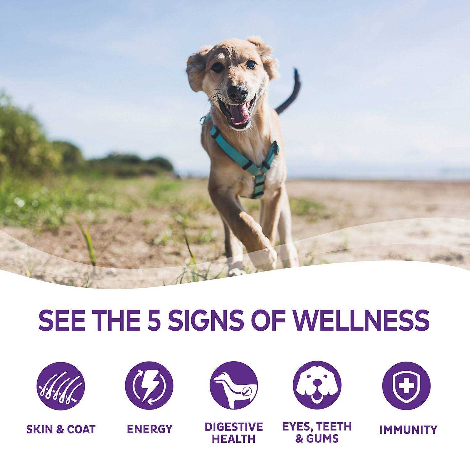 Wellness Complete Health Whitefish & Sweet Potato Dry Dog Food - Healthber