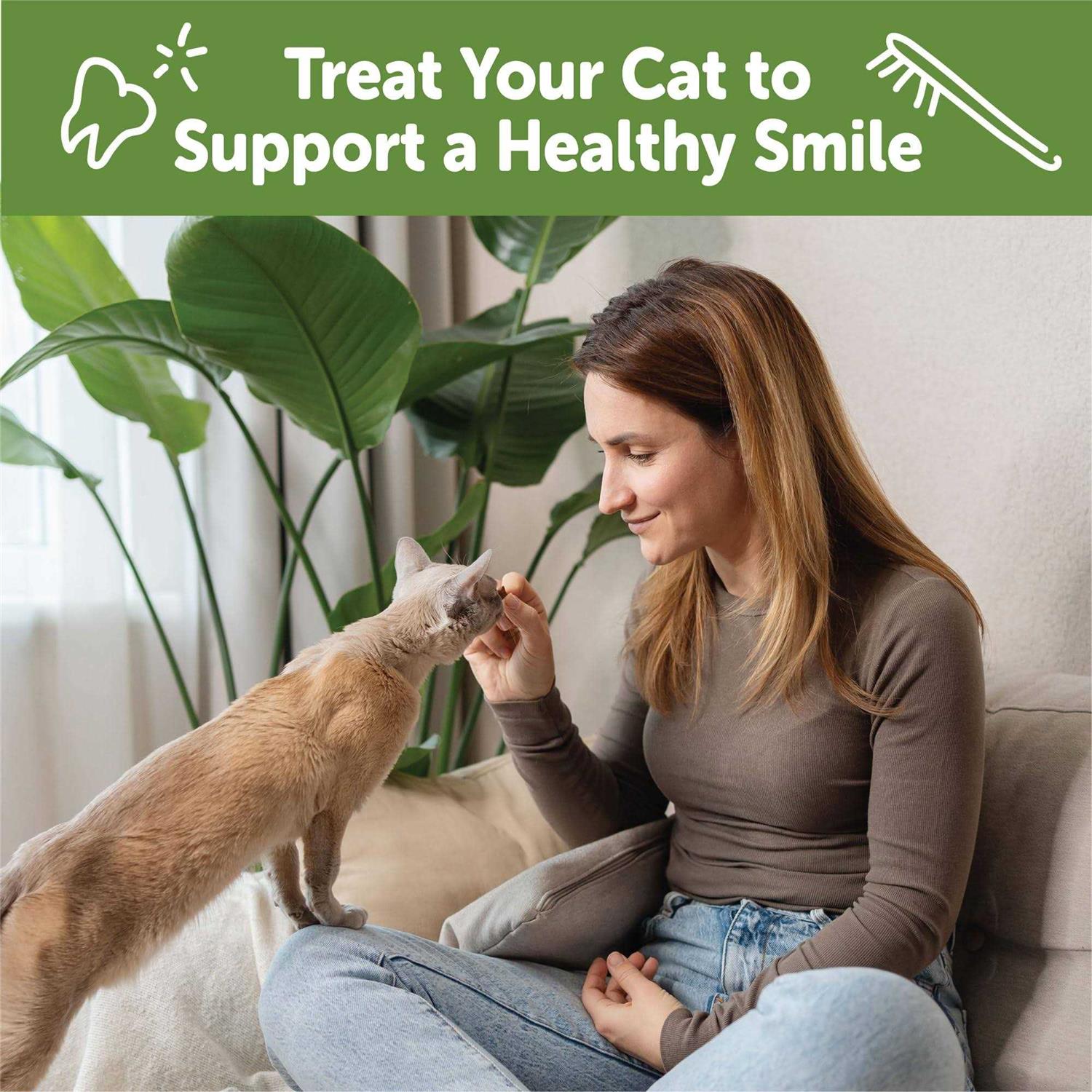 Whimzees Natural Dental Chicken Cat Treats - Healthber