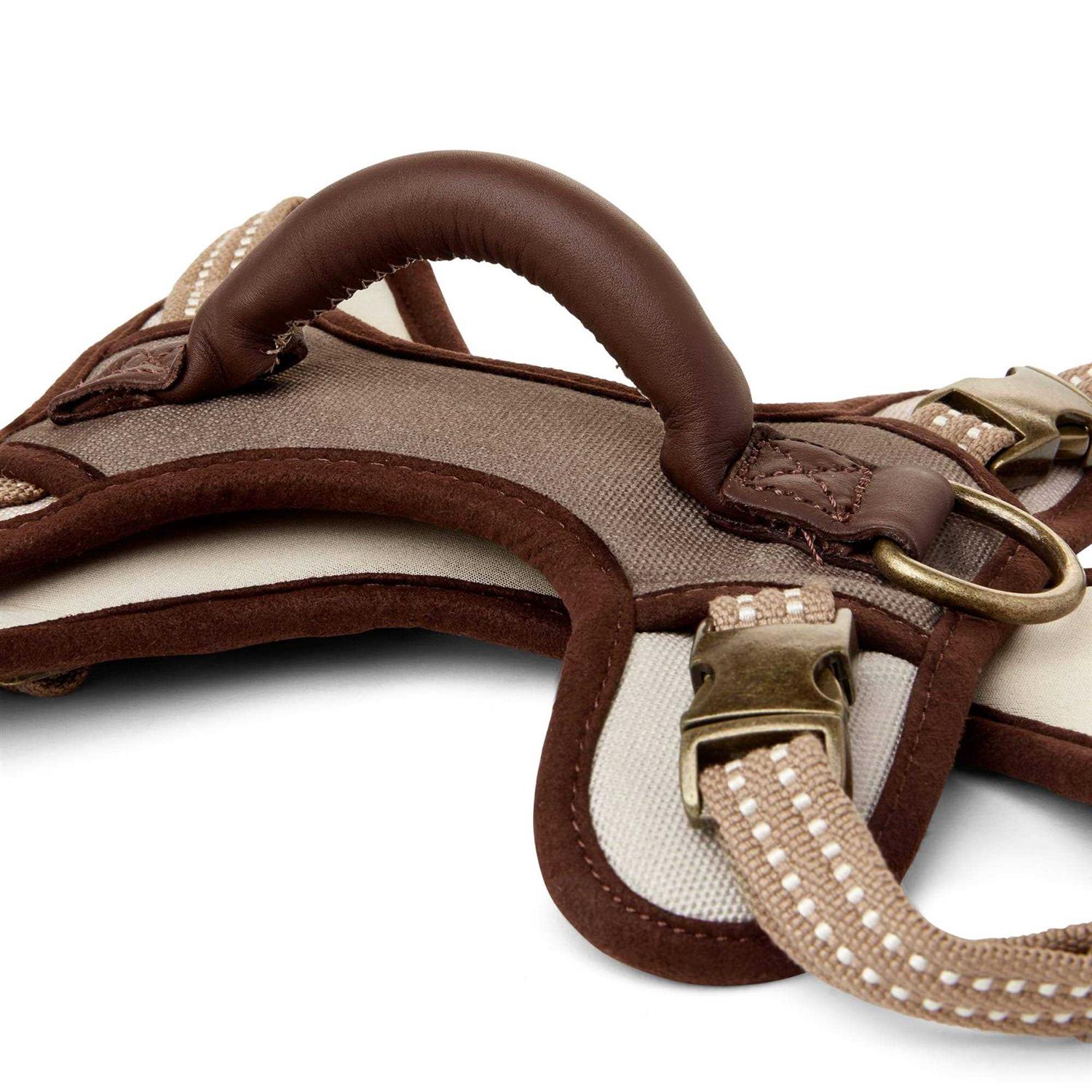 Reddy Canvas Dog Harness - Healthber