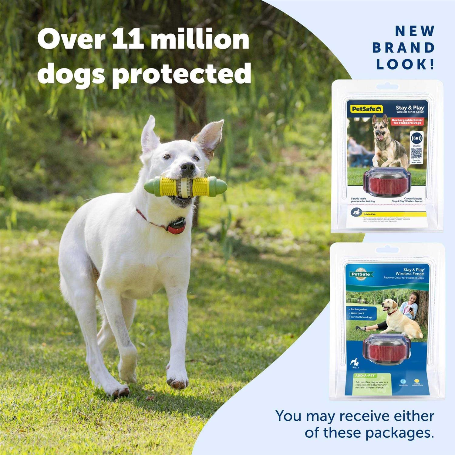 PetSafe Stubborn Dog Stay & Play Wireless Fence Receiver Collar - Healthber