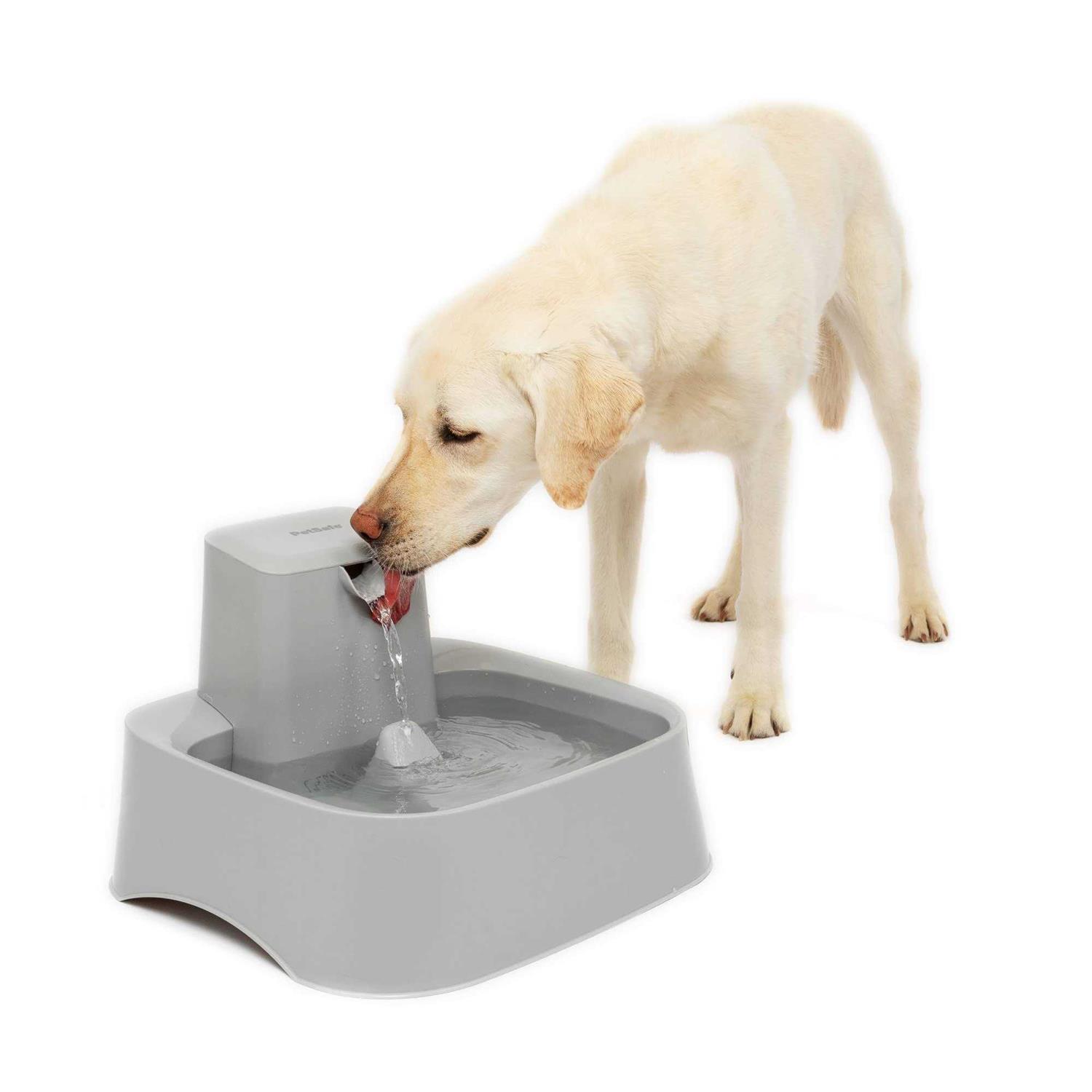 PetSafe Drinkwell 2 Gallon Pet Fountain - Healthber