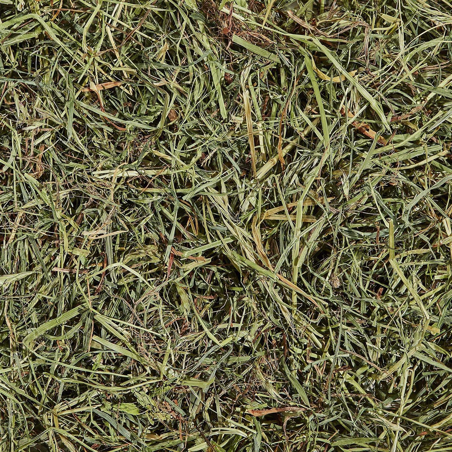 Kaytee Orchard Grass - Healthber