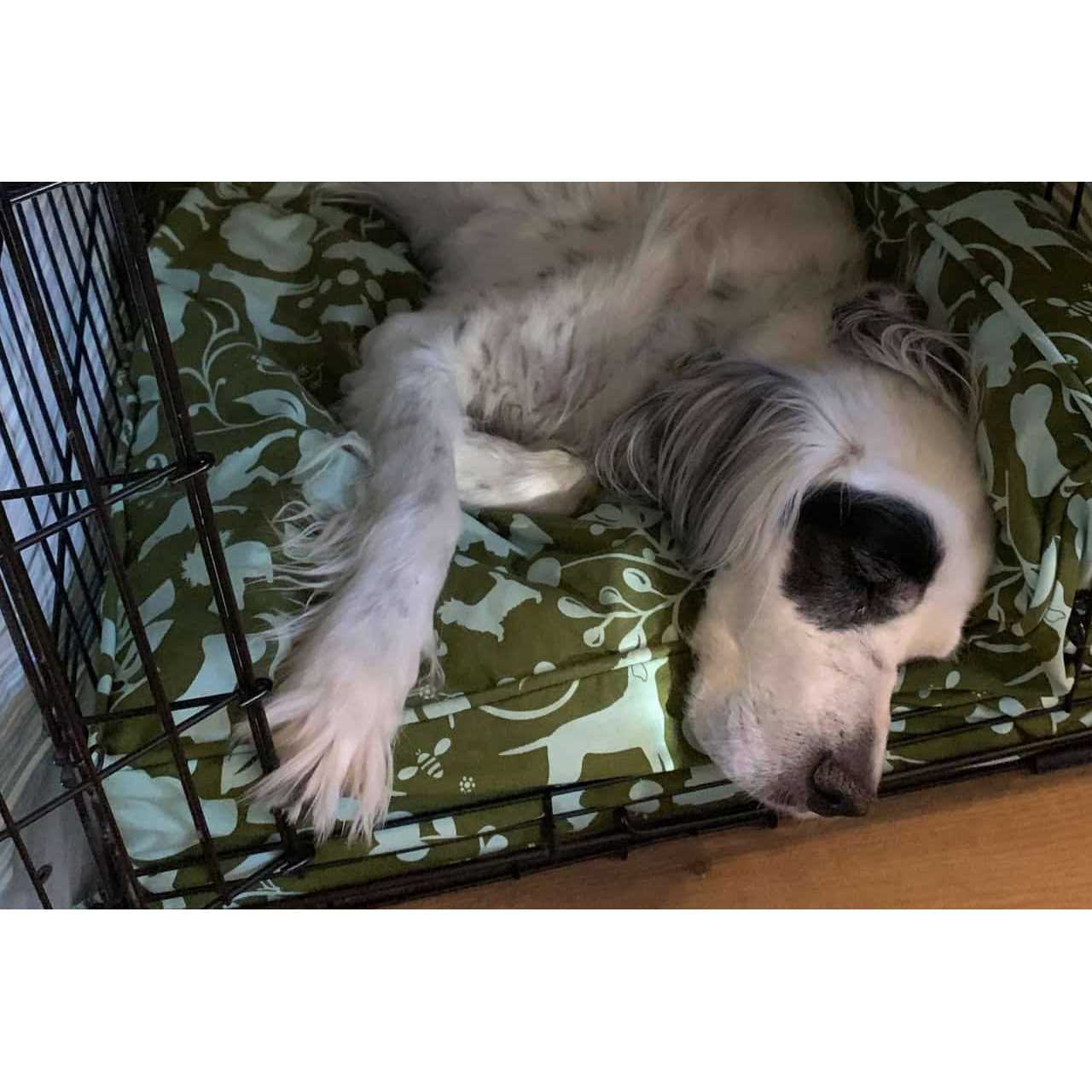 Molly Mutt Wool-Filled Dog Crate Pad - Healthber