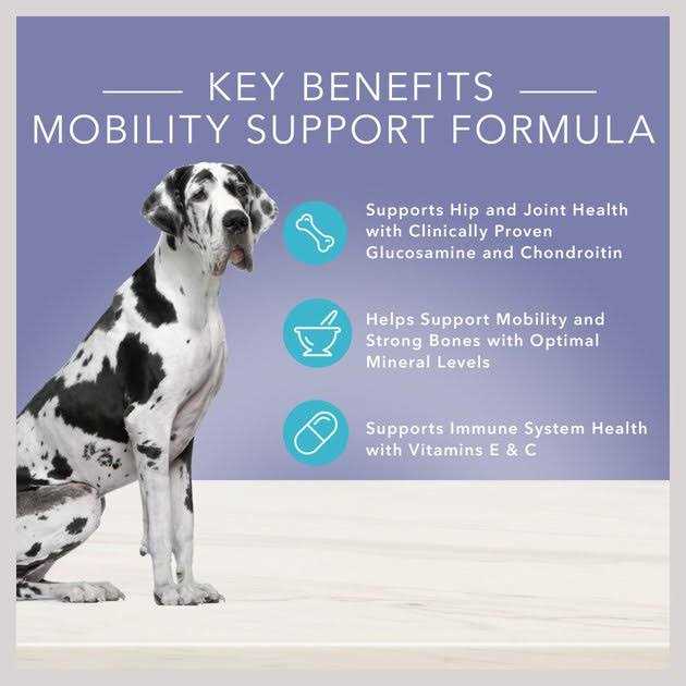 Blue Buffalo True Solutions Jolly Joints Mobility Support Dog Food - Healthber