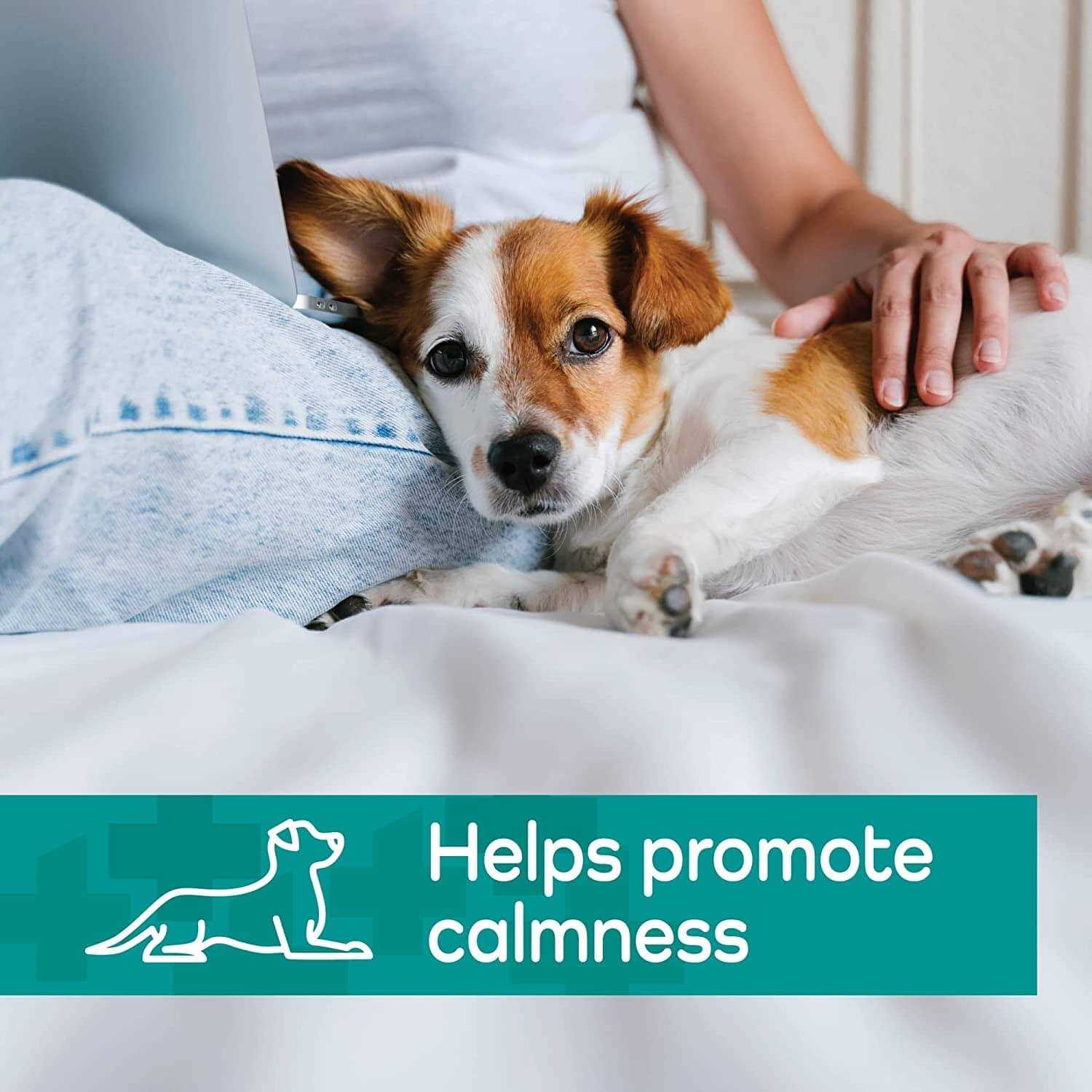 Vetality Hemp Helpers Collar for Dogs - Healthber