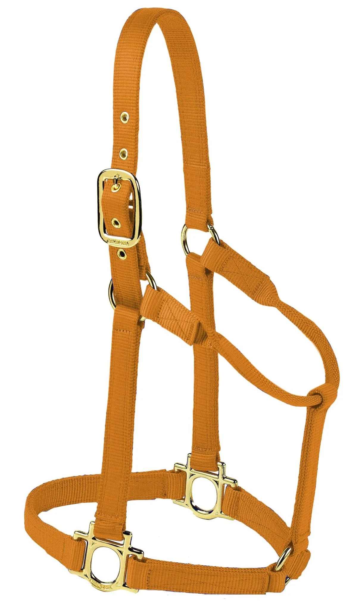 Valhoma Premium Nylon Halter - Healthber