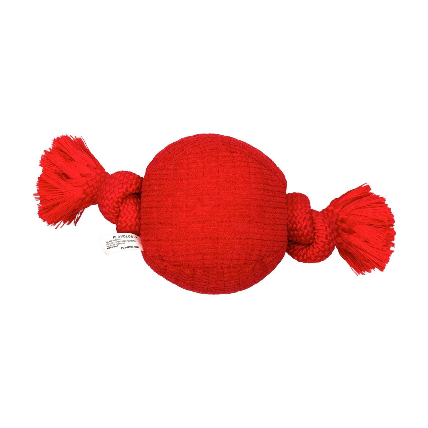 Playology Plush Herding Beef Ball Dog Toy - Healthber