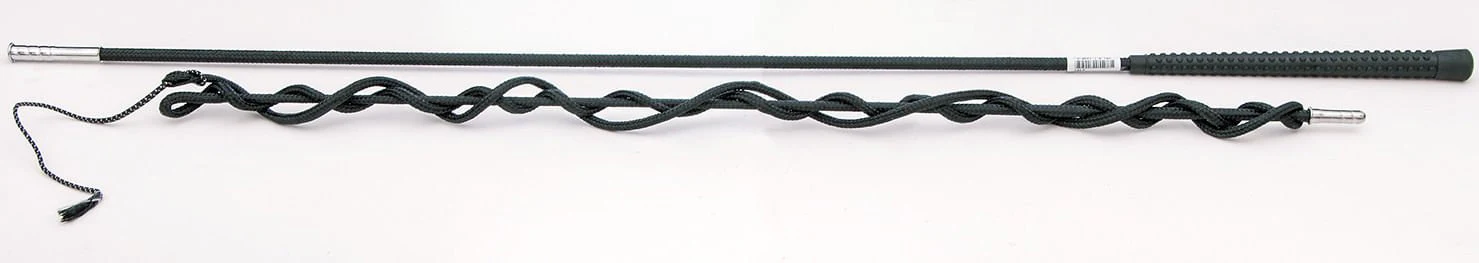 2-Piece Lunge Whip - Healthber