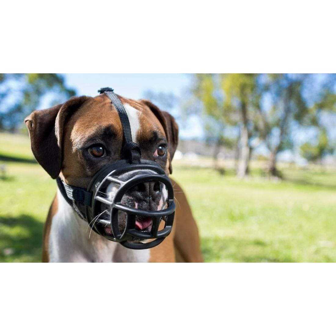 Baskerville Dog Ultra Muzzle - Healthber
