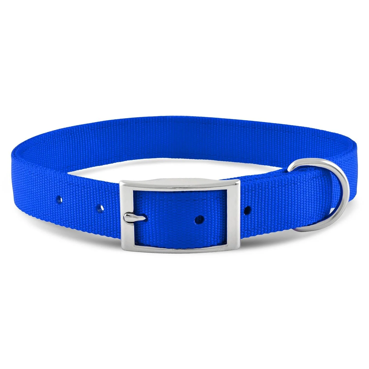 Web Nylon Dog Collar, 1