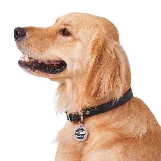 GoTags Anodized Aluminum Personalized Silencer Dog & Cat ID Tag - Healthber