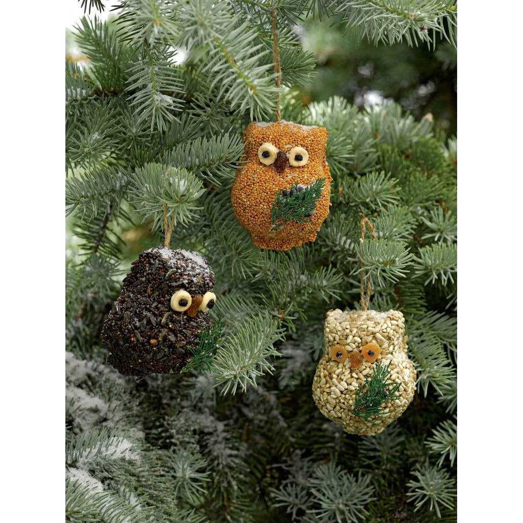 Mr. Bird Ollie Owl Bird Seed Ornaments - Healthber