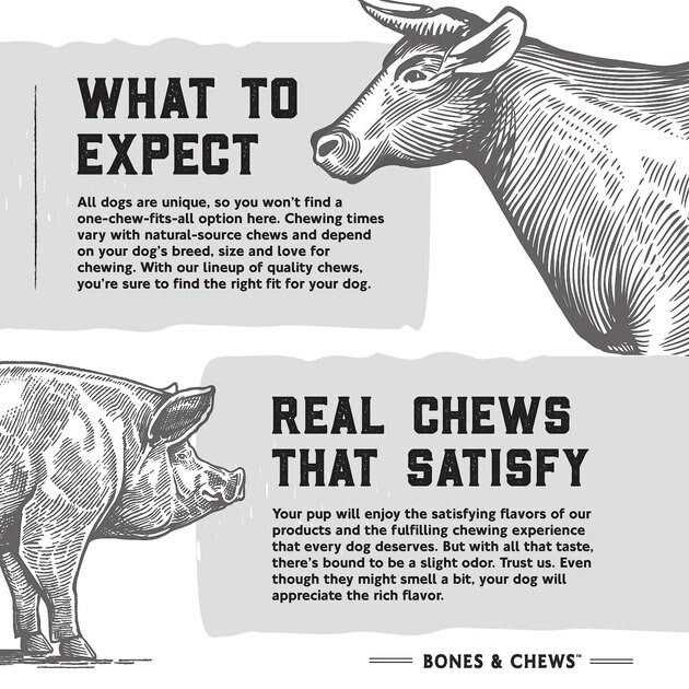 Bones & Chews Chicken Wrapped Rawhide Skewer Dog Treats - Healthber