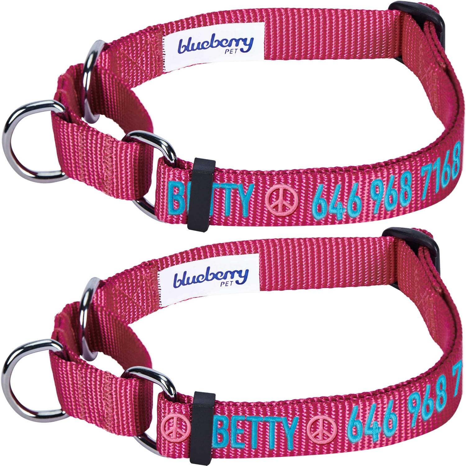 Blueberry Pet Martingale Safety Training Dog Collar - Healthber