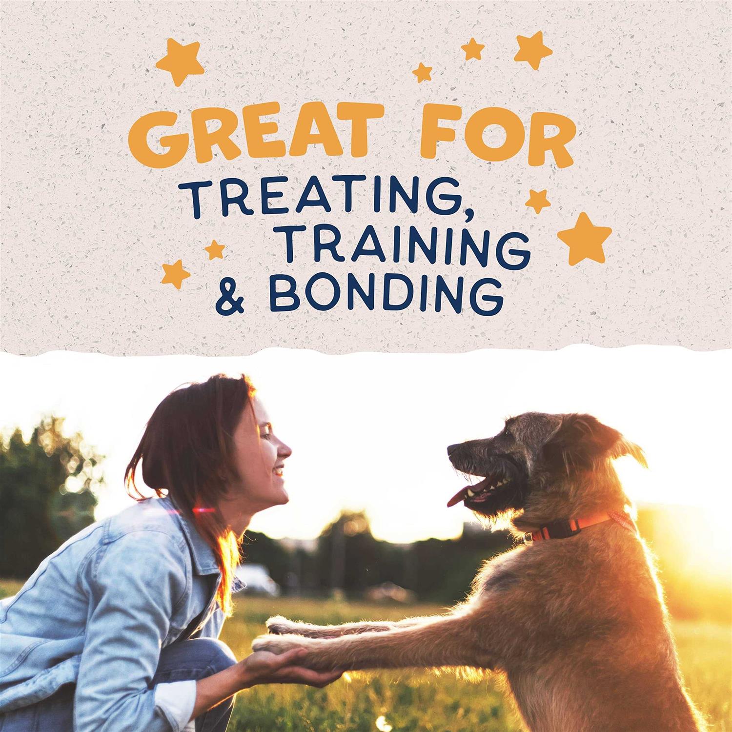 Natural Balance Rewards Jumpin’ Stix Dog Treats - Healthber