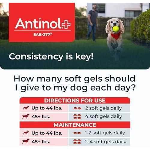 Antinol Plus, Mobility, Hip, and Joint Supplement for Dogs, Green-Lipped Mussels and Krill Oil - Healthber