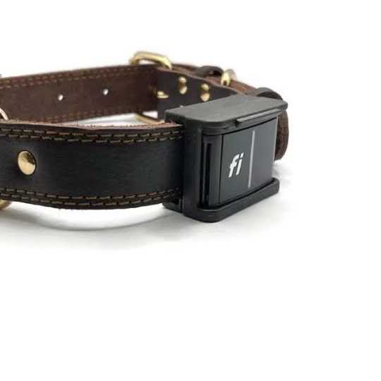 Fi Fastener 3 for Fi GPS Tracker Series 3 - Healthber