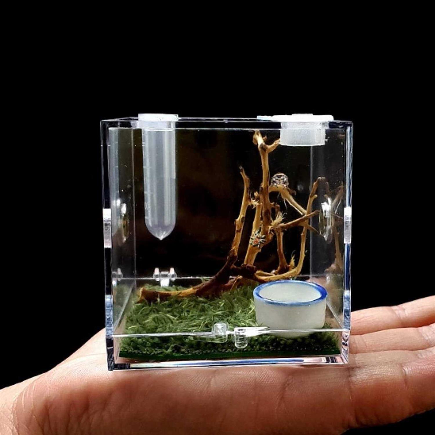 AWXZOM Spider Terrarium Acrylic Reptile Breeding Box Jumping Spider Enclosure with Dropper Tongs Snail cage - Healthber