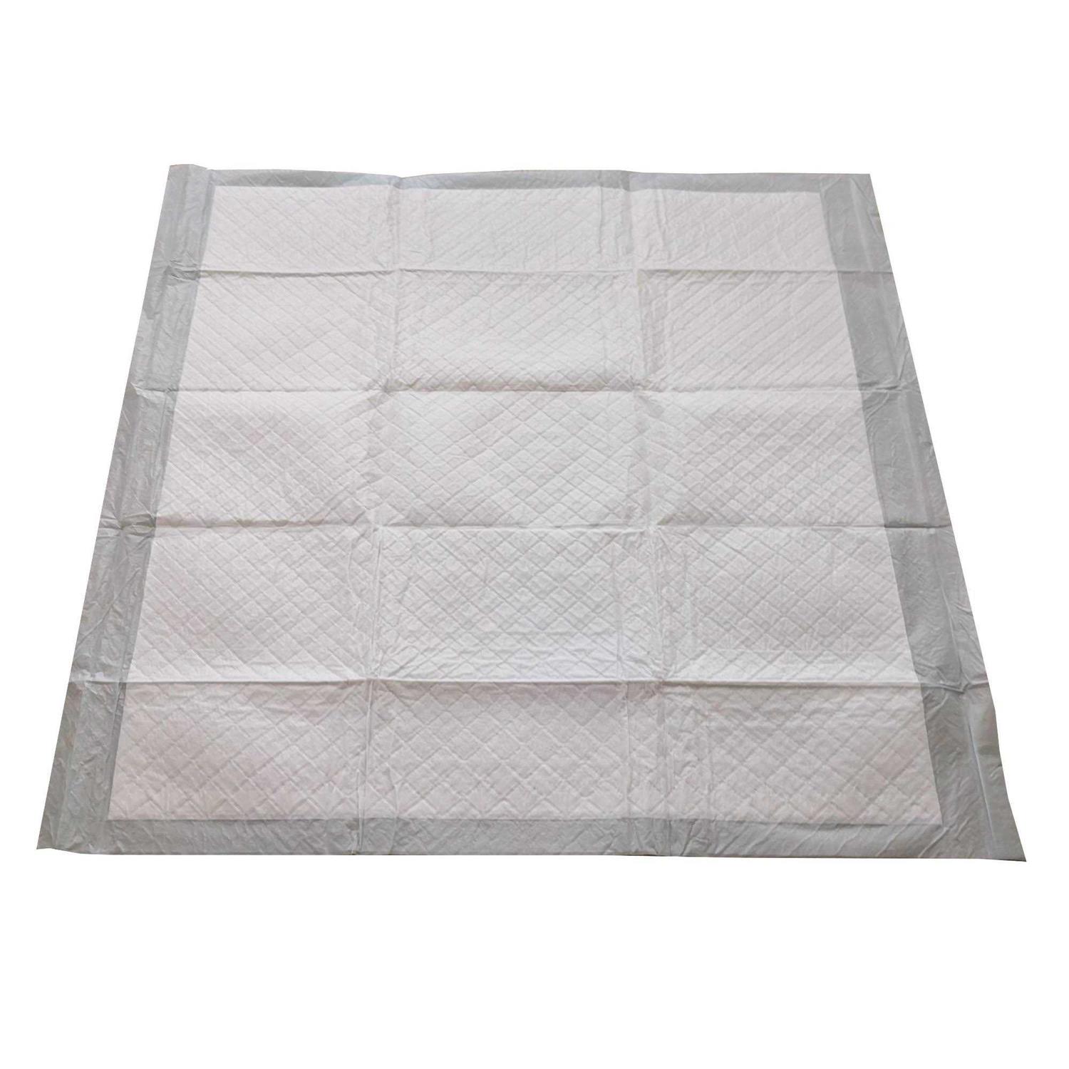 up & up Puppy and Adult Dog Training Pads - Healthber