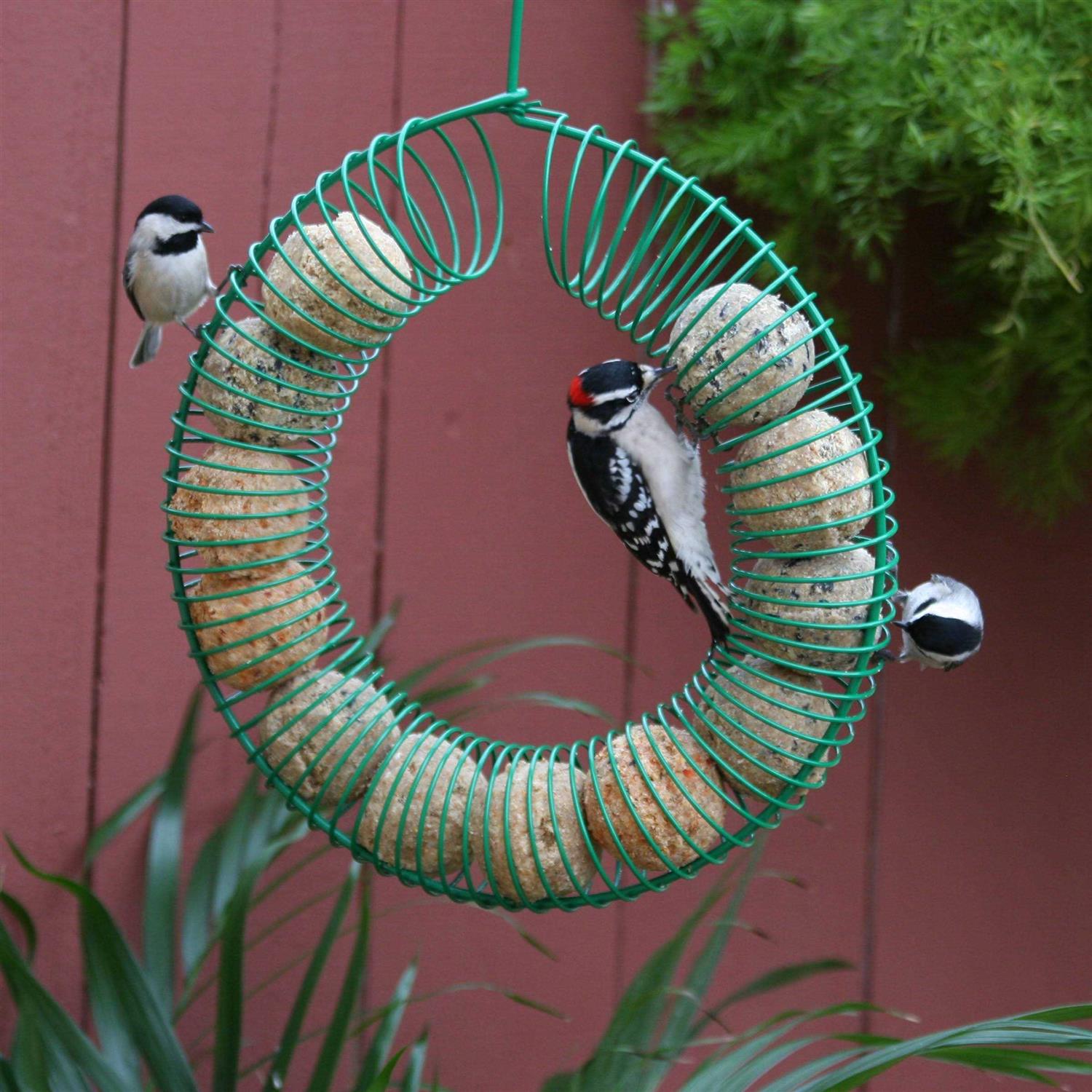 Pacific Bird & Supply Co Smorgasbug Suet Balls - Healthber