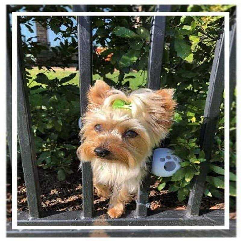 FenceMate Dog Harness Fits Girth - Healthber