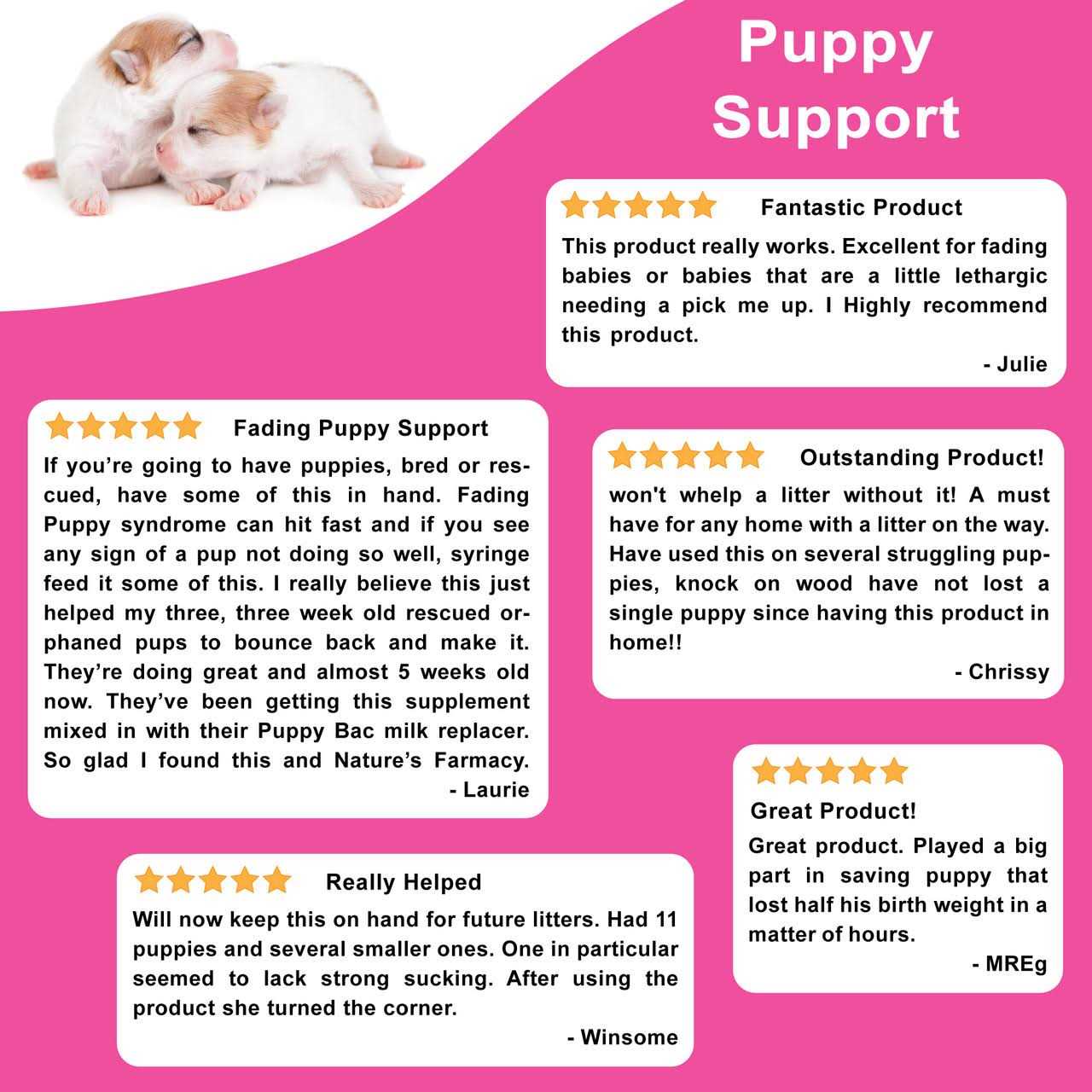 Dogzymes Fading Puppy Support - Healthber