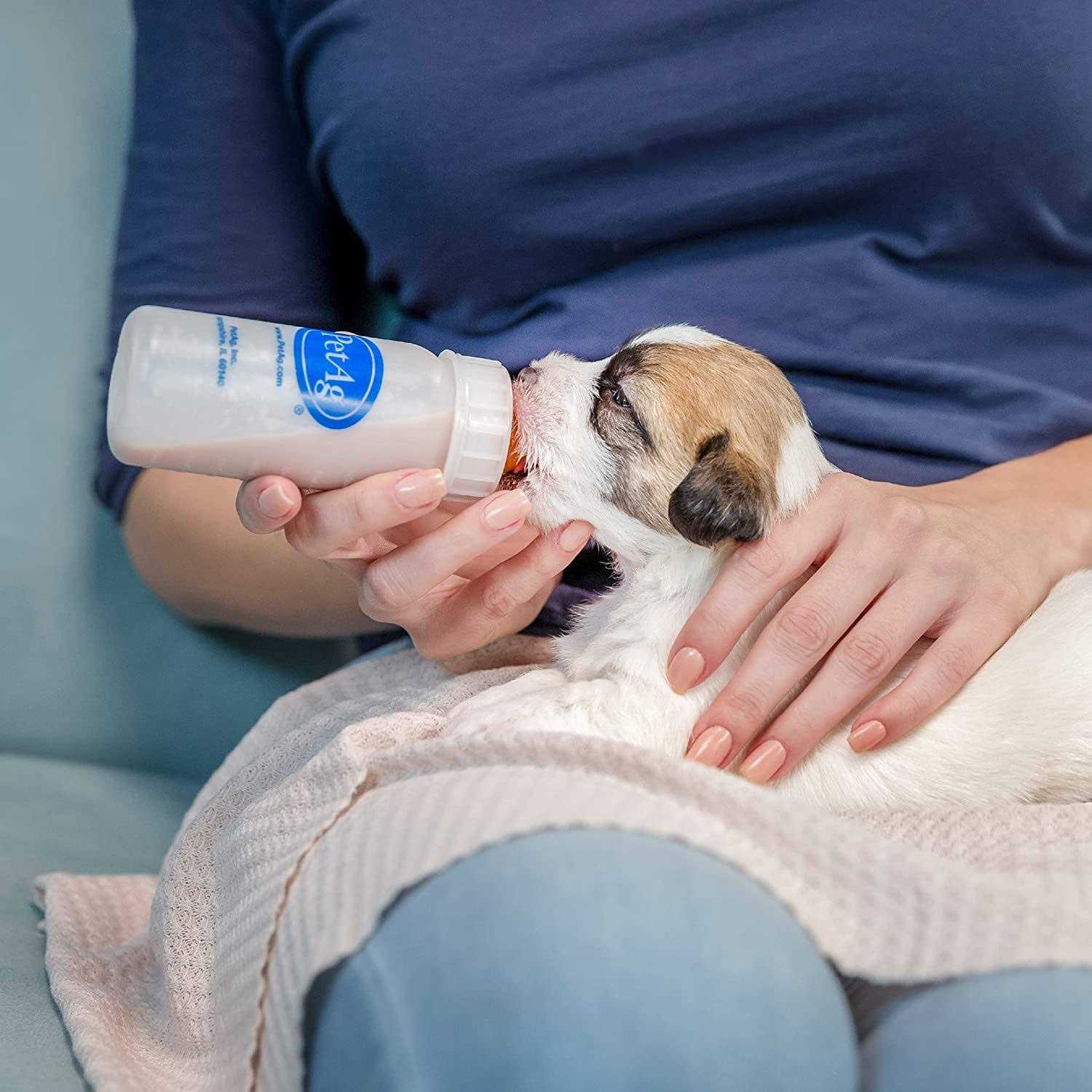PetAg Nurser Bottle - Healthber
