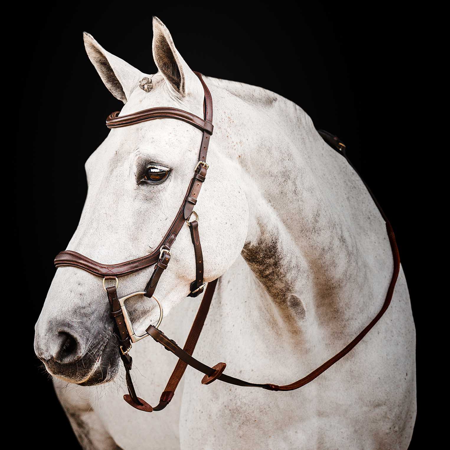 Micklem 2.0 Deluxe Competition Bridle, Havana - Healthber