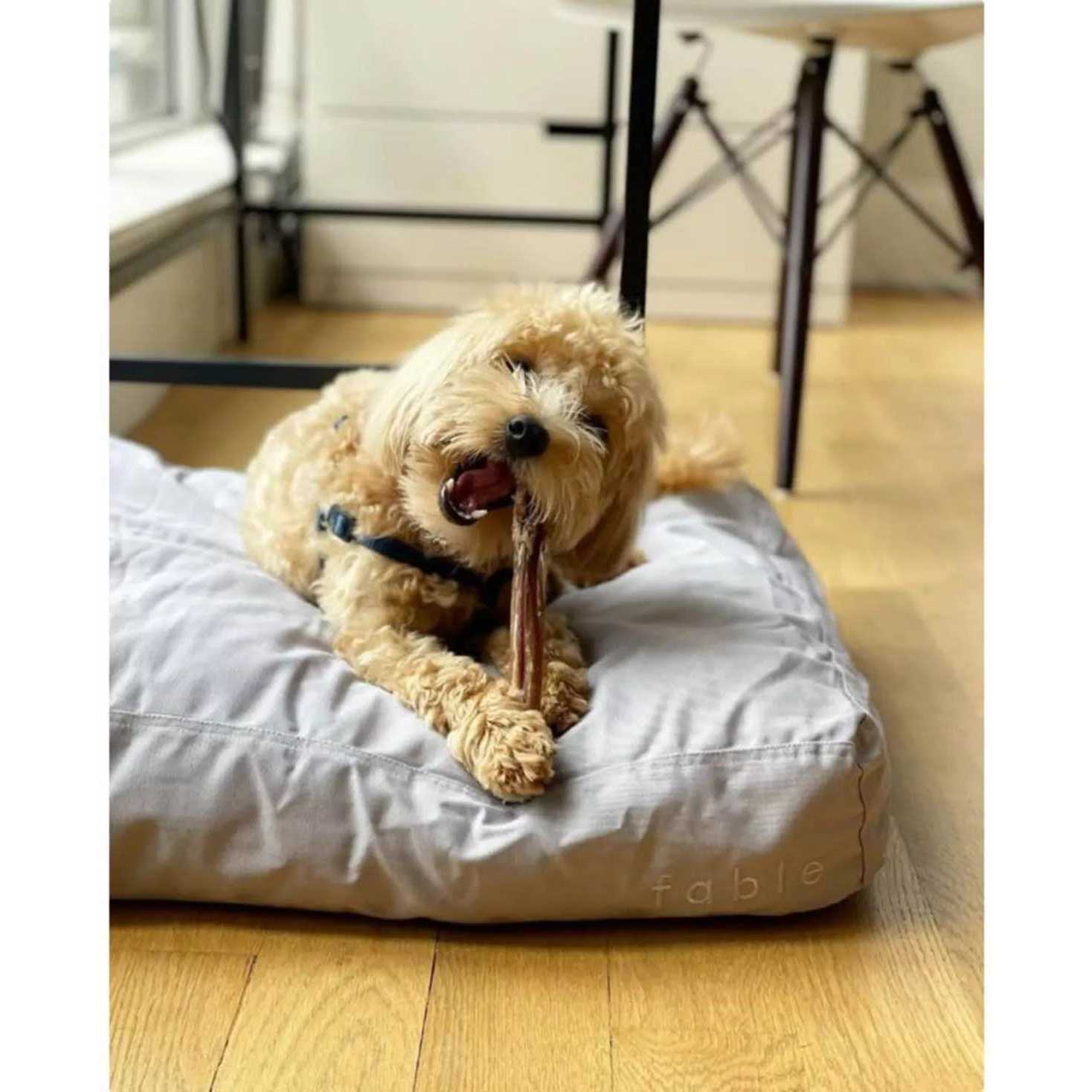 Fable Pets Signature Dog Bed - Healthber