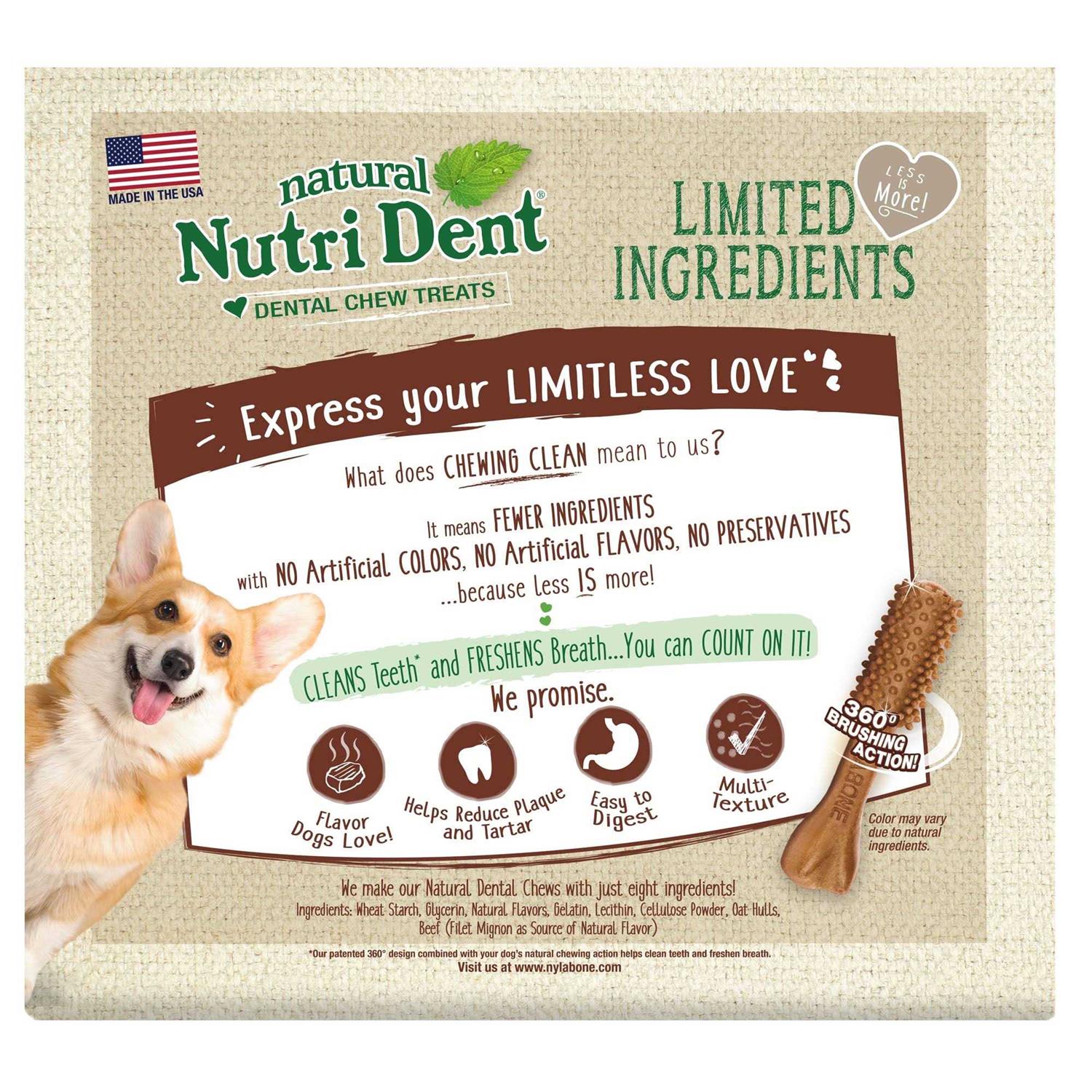 Nylabone Nutri Dent Dental Chews Filet Mignon - Healthber