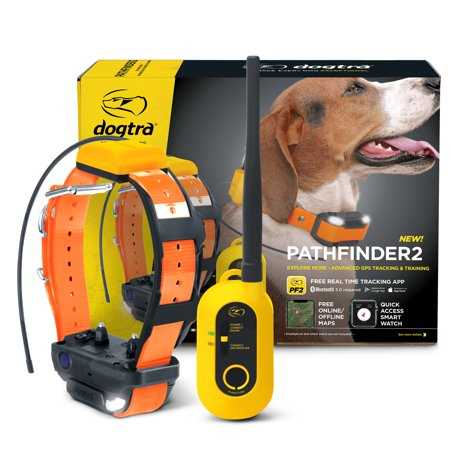Dogtra Pathfinder2 GPS & Dog Training Collar System, Black - Healthber