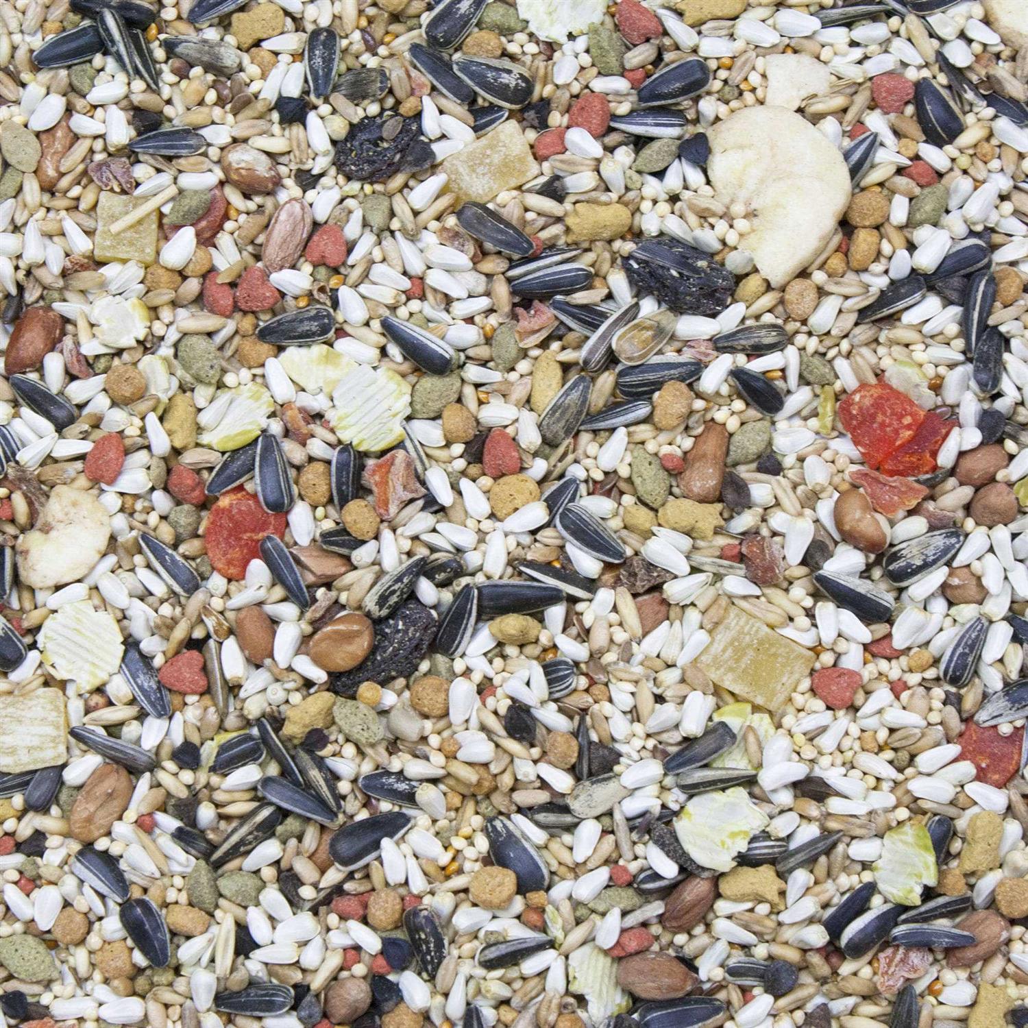 Higgins Vita Seed Conure & Lovebird Food - Healthber