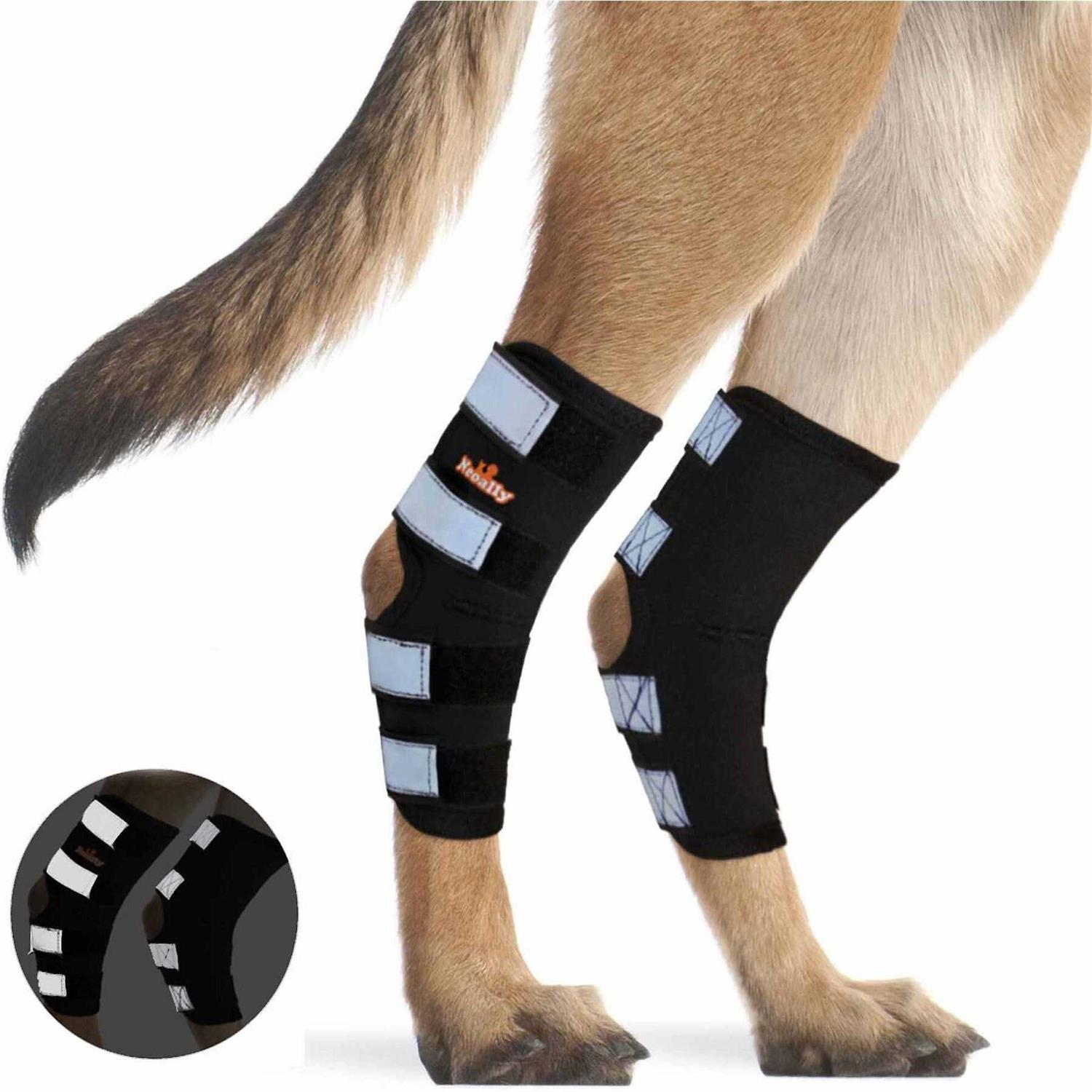 Neoally Dog Hind Leg Brace Canine Rear Leg Support with Safety Reflective Straps for Joint Injury - Healthber