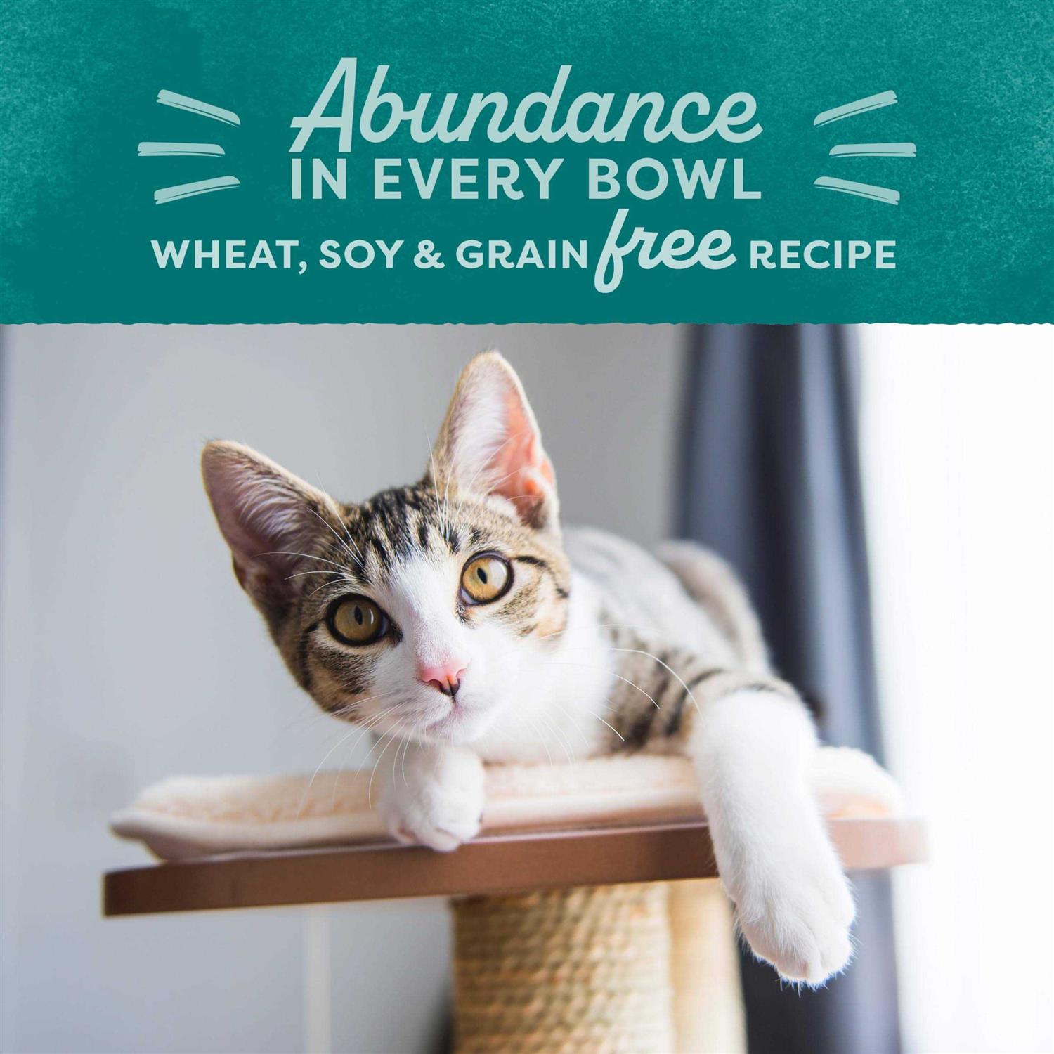 Natural Balance Original Ultra Dry Cat Food Indoor Chicken & Salmon Meal - Healthber