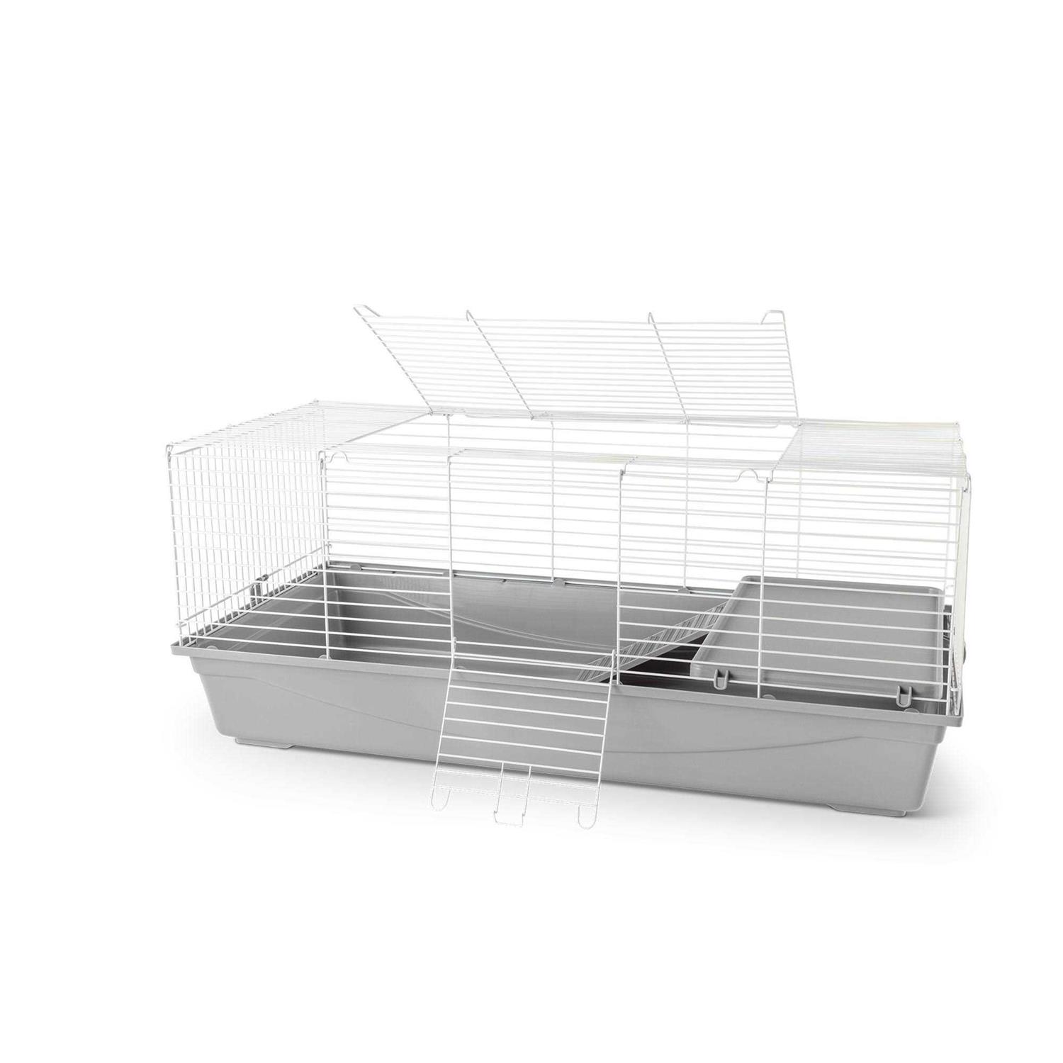 Full Cheeks Easy Build Spacious Home - Healthber